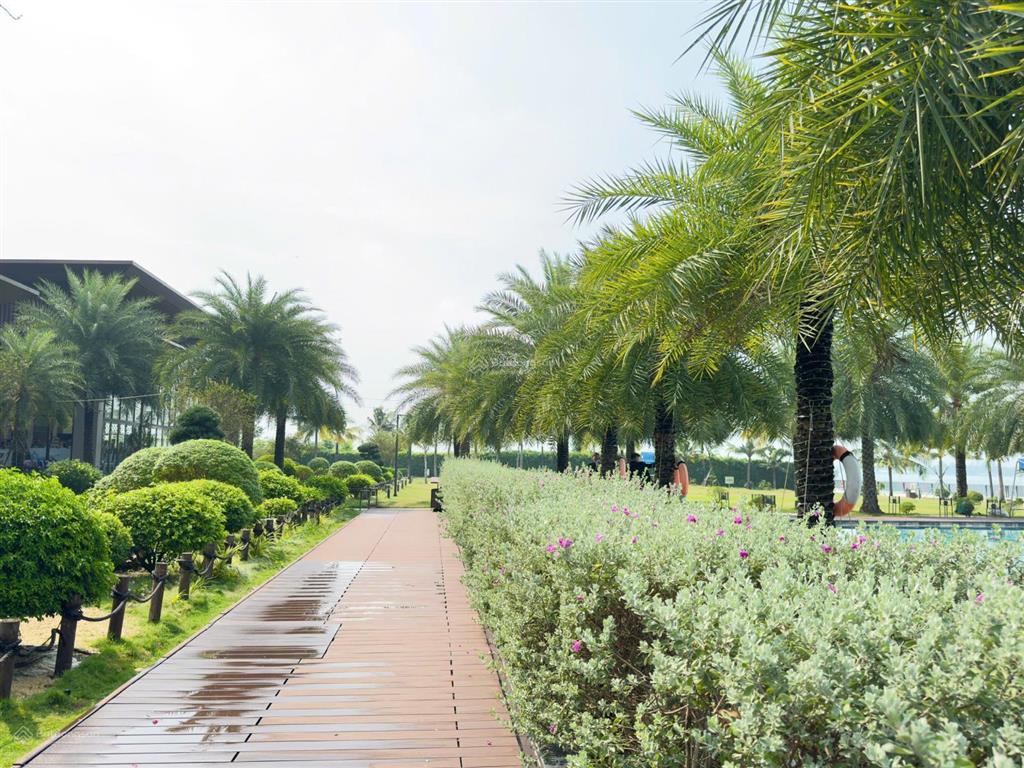 Nhà phố izumi city giá từ 7.1 tỷ, liền kề sông đồng nai, sổ hồng sẵn