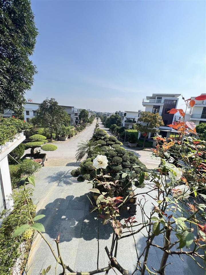 Sốc! bán gấp biệt thự kđt phú cát city vị trí đẹp giá đất chỉ nhỉnh 11 tỷ hàng hiếm  093234122