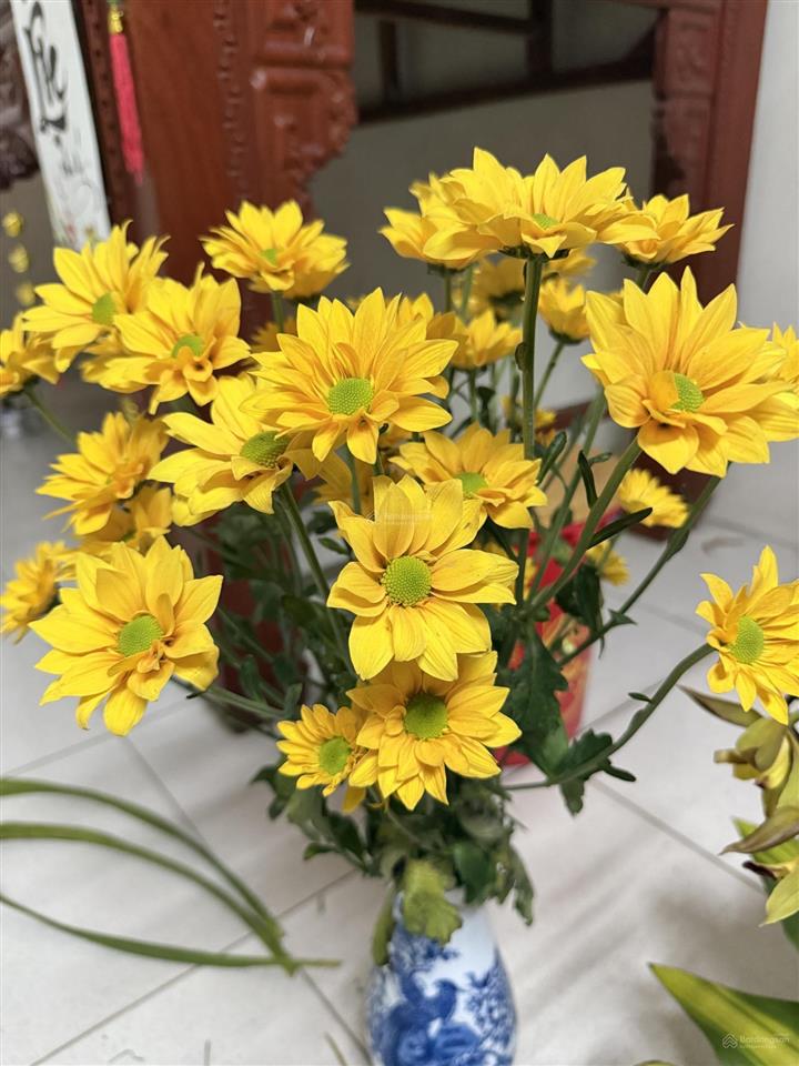 Căn 34m siêu hot siêu đẹp tại dự án vic việt trì,phú thọ nằm ngay quảng trường trung tâm giá tốt