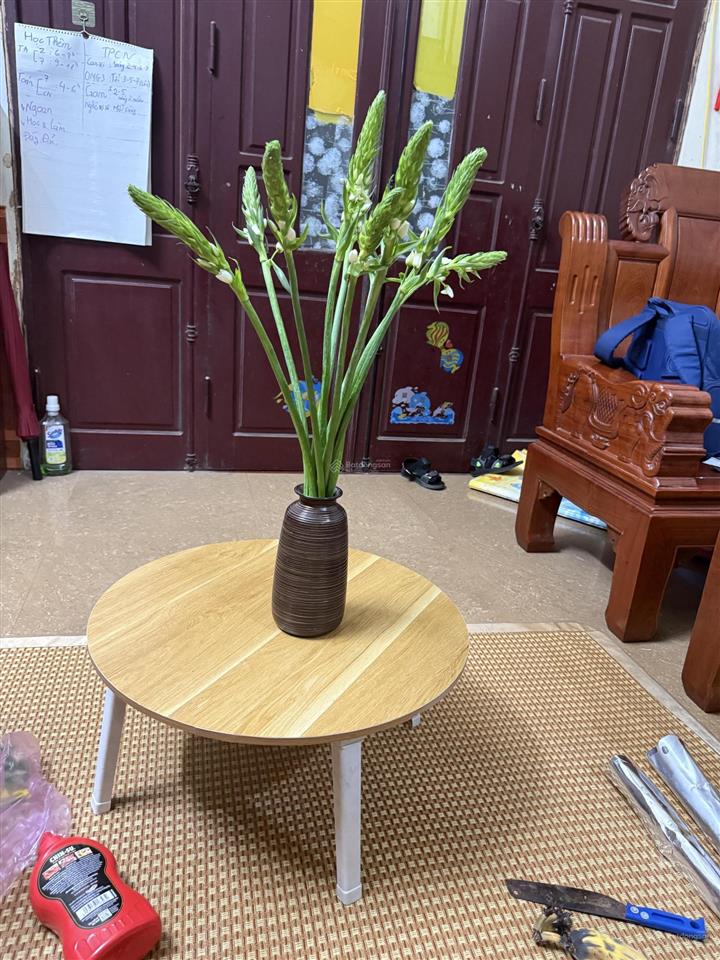 Căn 34m siêu hot siêu đẹp tại dự án vic việt trì,phú thọ nằm ngay quảng trường trung tâm giá tốt