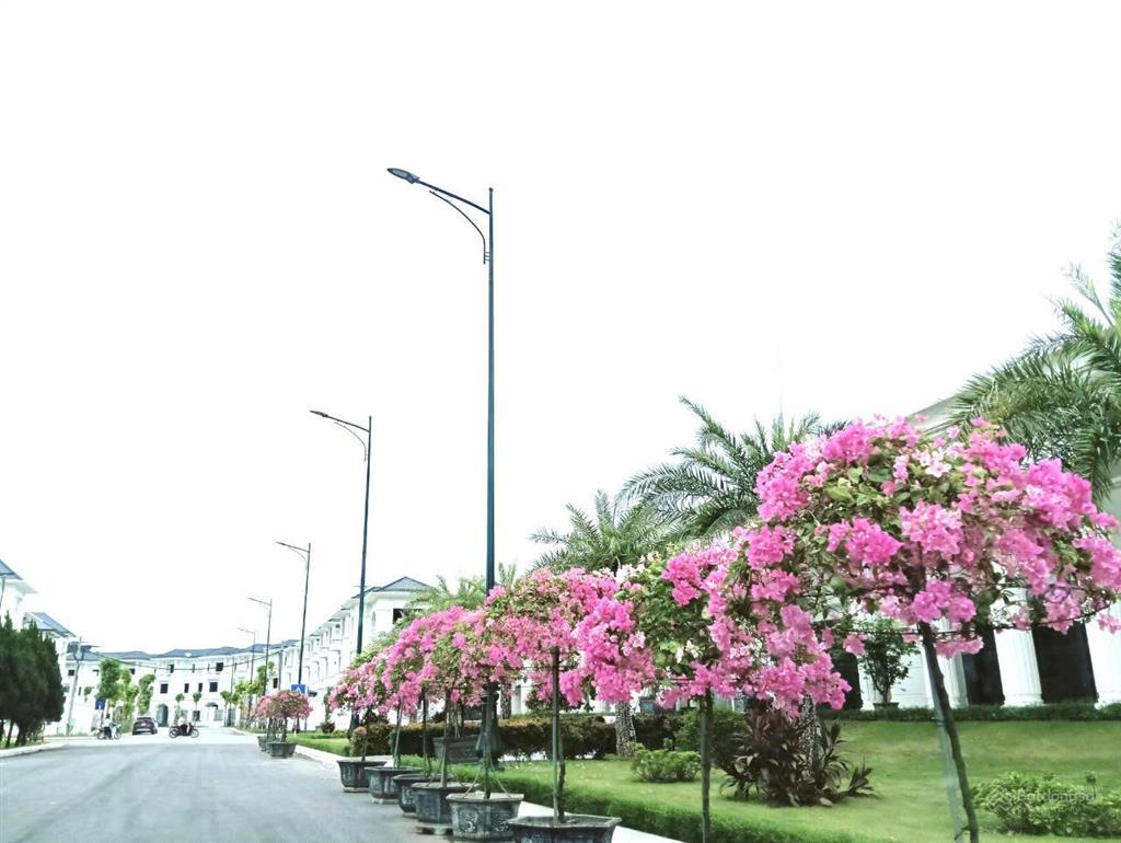 Chính chủ gửi bán biệt thự vườn cam vinapol. giá 140tr/m2