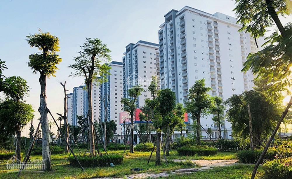 Bán liền kề 100m thanh hà cienco 5 giá 7 tỷ 3, biệt thự 200m giá 15 tỷ đường 14m nhiều tiện ích