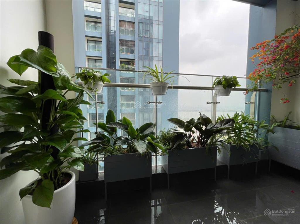 Chính chủ bán căn hộ sunshine city, 105m2, 12,9 tỷ, view toàn cảnh ciputra, sông hồng, hồ tây