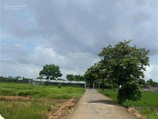 Chính chủ bán lô đất đẹp tại xã bình chánh dt 743m2, đường ô tô, tiện ích đầy đủ, sẵn sổ, giá 5,5ty