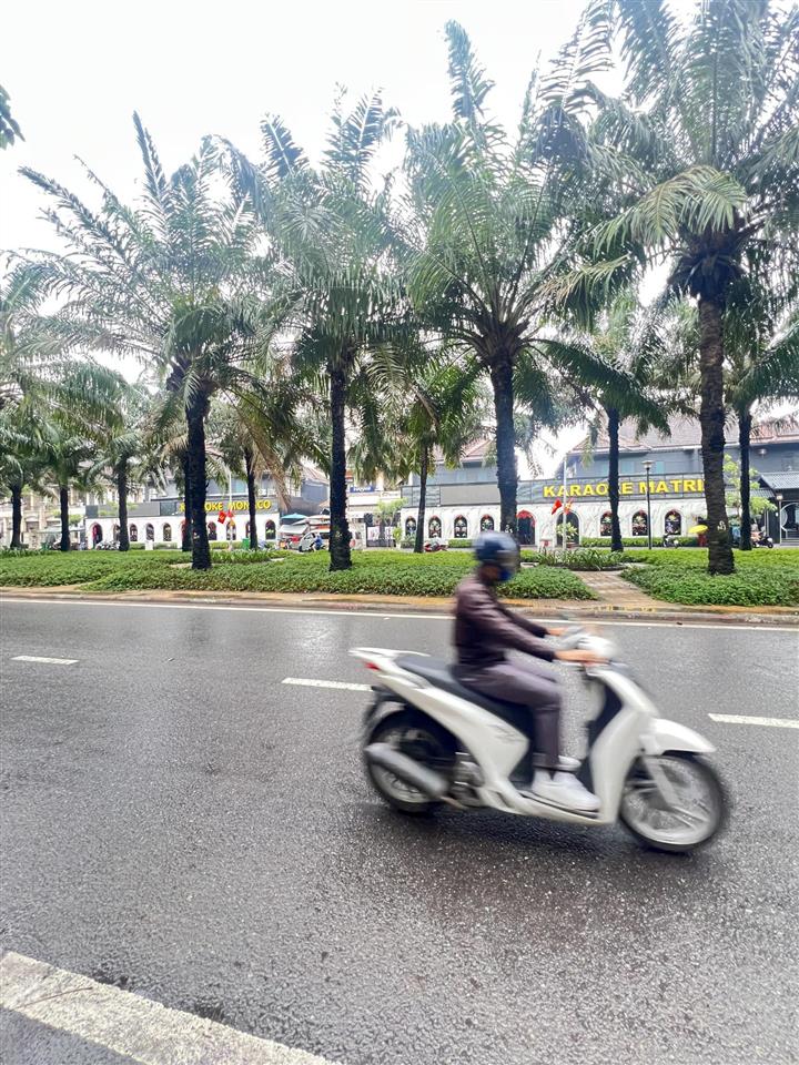 Nhà mặt tiền đường 9a khu dân cư trung sơn, bình hưng, bình chánh hcm (10x20).