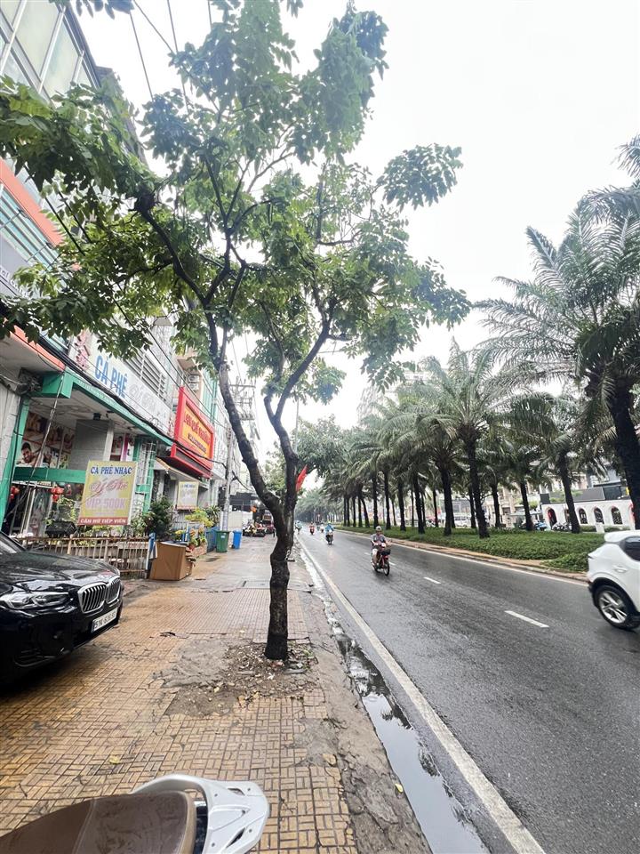 Nhà mặt tiền đường 9a khu dân cư trung sơn, bình hưng, bình chánh hcm (10x20).