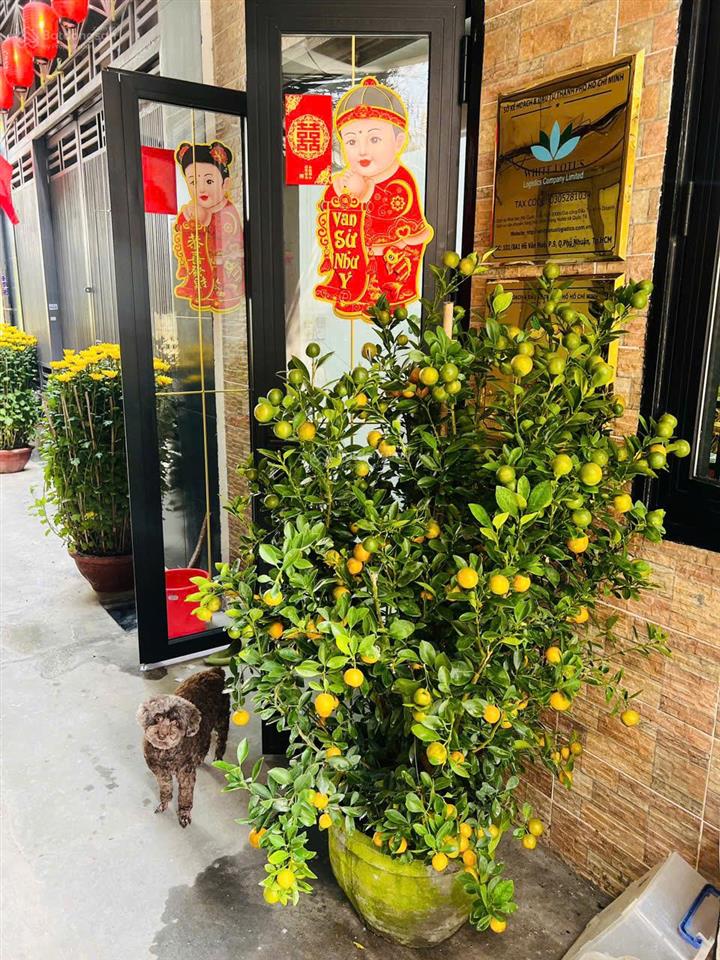 Bán nhà riêng 101/8a1 hồ văn huê, 7,5 tỷ, 36,7m2 siêu hot giá cực chất