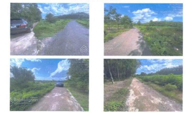 Bán đấu giá đất tại xã long hà, tp đồng nai