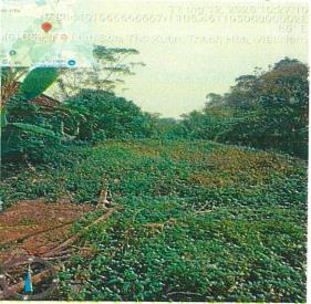 Bán đất tại thọ xuân, thanh hoá