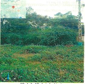 Bán đất tại thọ xuân, thanh hoá