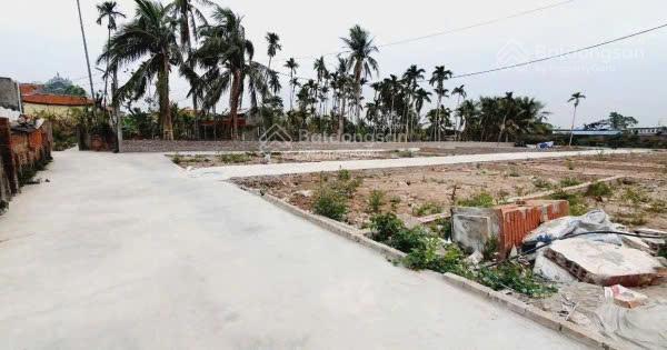 Bán đất ngõ 50, phố sông he, phường hòa nghĩa, quận dương kinh, hải phòng