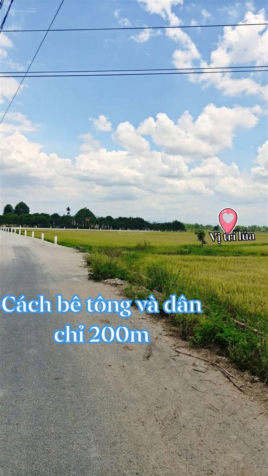 Đất lúa xã suối hiệp, giá rẻ chỉ 120 triệu/sổ.  0333 039 ***