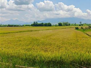 Cần bán hơn 2 sào lúa đường bờ chỉ 210 triệu, tại suối hiệp, diên khánh.  0333 039 *** (chính chủ)
