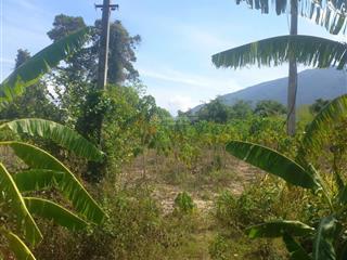 Giá đầu tư  bán 3.185m² hnk mặt tiền 82m đường nhựa 2 làn xe