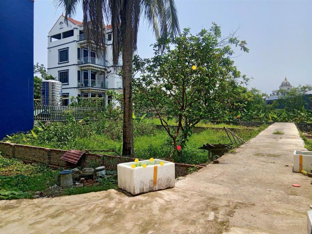 Chính chủ bán đất thôn phượng mỹ  xã mỹ hưng vị trí đẹp
