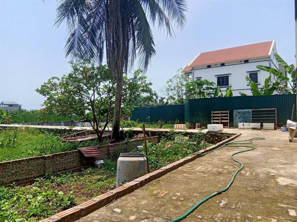 Chính chủ bán đất thôn phượng mỹ  xã mỹ hưng vị trí đẹp