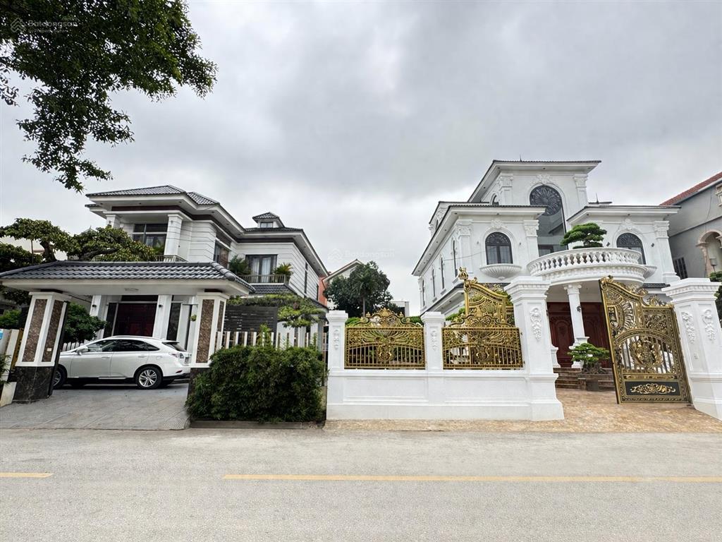 Duy nhất trên thị trường lô đất đấu giá công luận 2 mở bán, gần vđai 3.5 và kđt alluvia