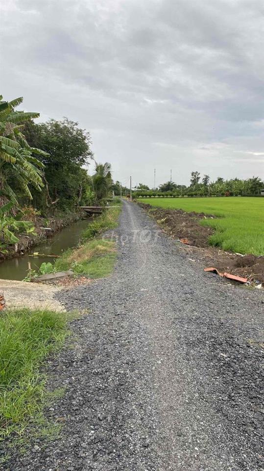 BÁN ĐẤT THỔ CƯ CHÍNH CHỦ-SỔ HỒNG RIÊNG-PHÁP LÝ RÕ RÀNG