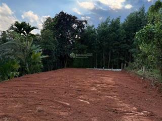 Đất xây nhà vườn 413m2 có 250m2, đất ở gần đường bà nà suối mơ