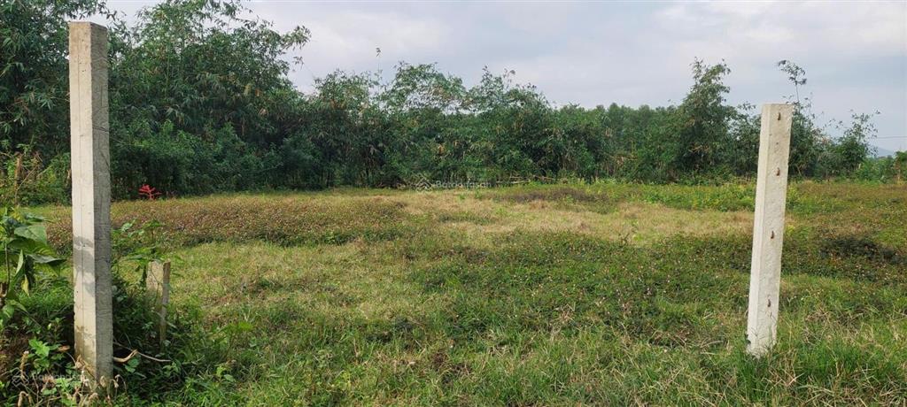 Đất xây nhà vườn hòa nhơn, 550m2 có 120m2 đất ở ngang rộng rãi 22m.