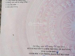 Đất trồng cây hằng năm vị trí đep lô góc 2 mặt đường, 174m2 xã hòa phong nở hậu