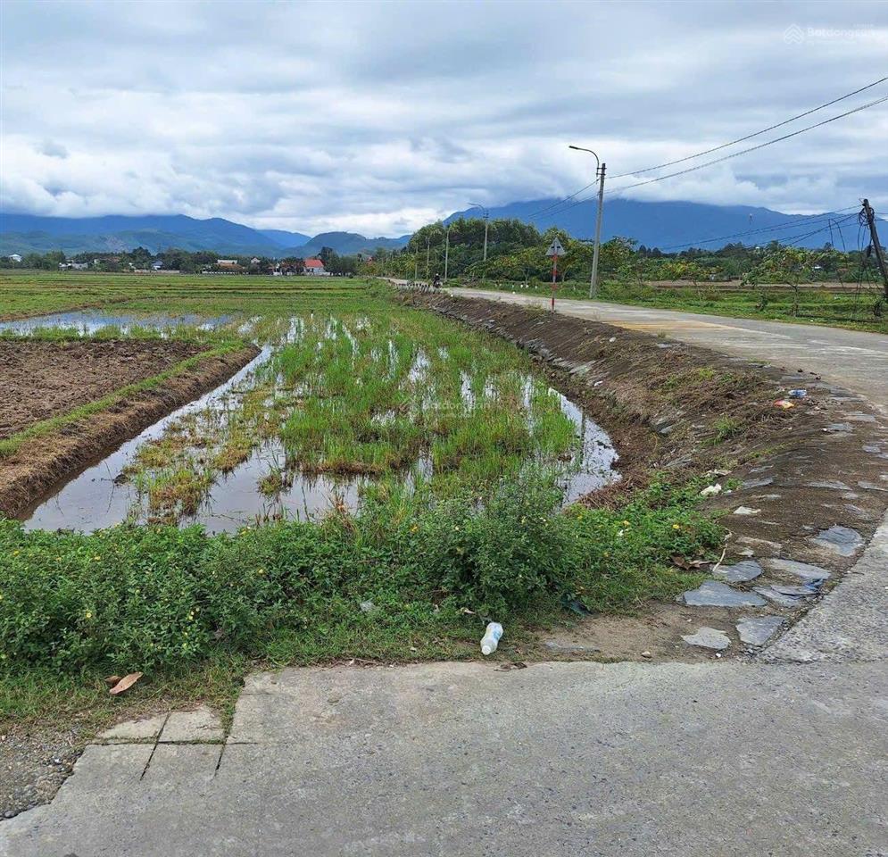 Đất trồng cây hằng năm 487m2 gần nhà dân ở, gần chợ túy loan