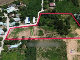 Đất làm trang trại ở hòa ninh, 8000m2 có 300m2 đất ở