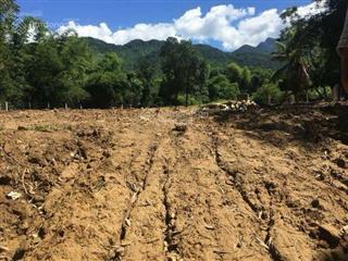 Đất view sông cu đê 1000m2 có 600m2 đất ở 2 mặt tiền, làm homestay, xây nhà vườn