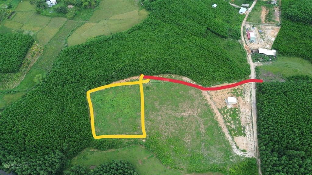 Đất rộng 4600m2 có 300m2 đất ở gần dt602 cao ráo mát mẻ, không ngập lụt.