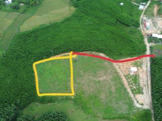 Đất rộng 4600m2 có 300m2 đất ở gần dt602 gần khu thương mại tự do