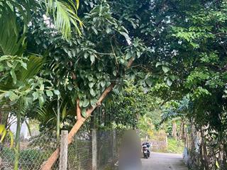 Đất 2 mặt tiền 195m2 đất ở, có sẵng vườn cây ở hòa bắc.