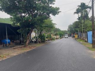 Đất xây nhà vườn view suối đường nhựa 2 ô tô, 610m2 có 400m2 đất ở