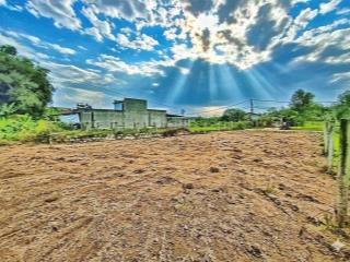 Đất xây nhà vườn nho nhỏ 274m2 có 150m2 đất ở, giá đầu tư