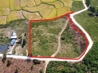 Đất trồng cây lâu năm view cánh đồng đồi núi rất đẹp 5900n2 ngang rộng 90m ở hòa sơn