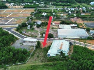 Đất trồng cây lâu năm xã hòa ninh, 1290m2 đường nhựa 7,5m 2 mặt tiền gần dân cư