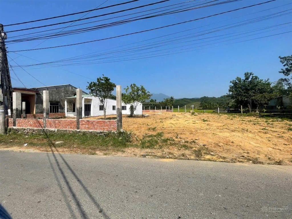 Đất xây nhà vườn mặt tiền đường nhựa 2 ô tô view cánh đồng, 1000m2 có 300m2 đất ở