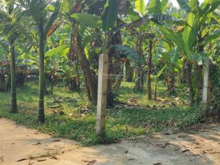 Bán nhà vườn diện tích rộng 1250m2 có 700m2 đất ở ngang 30m