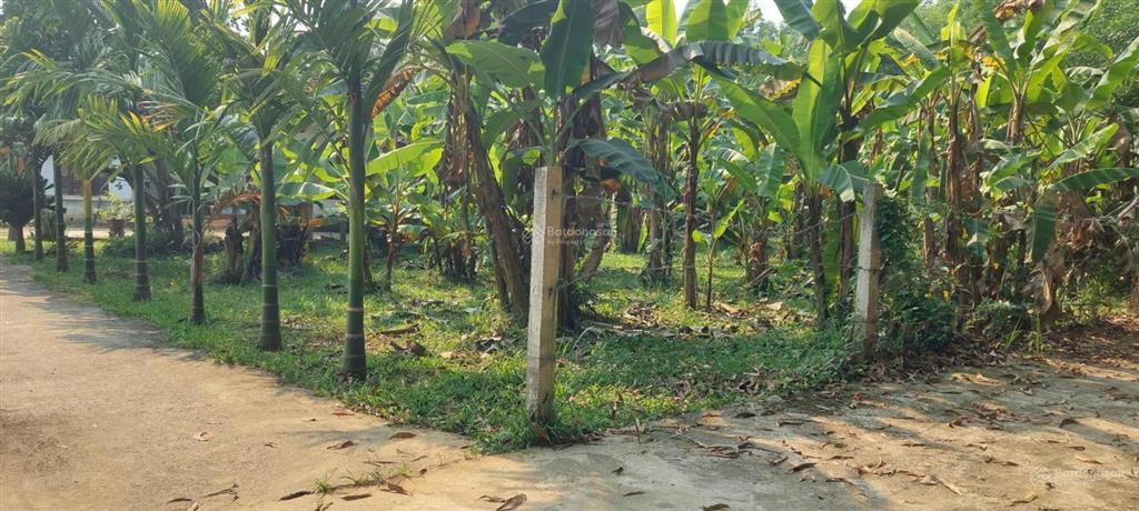 Bán nhà vườn diện tích rộng 1250m2 có 700m2 đất ở ngang 30m