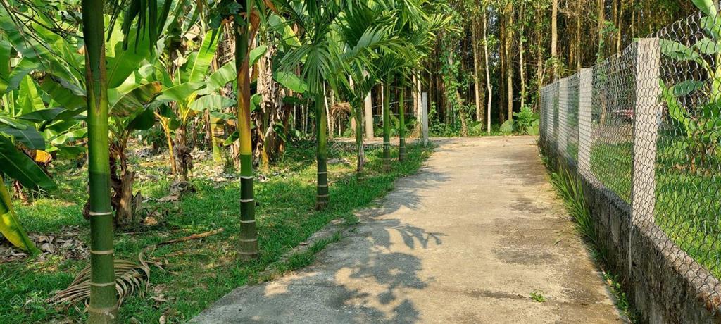 Bán nhà vườn diện tích rộng 1250m2 có 700m2 đất ở ngang 30m