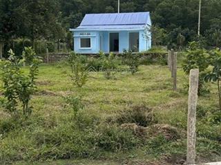 Bán nhà hòa bắc 493m2 có 120m2 đất ở view núi thoáng mát.