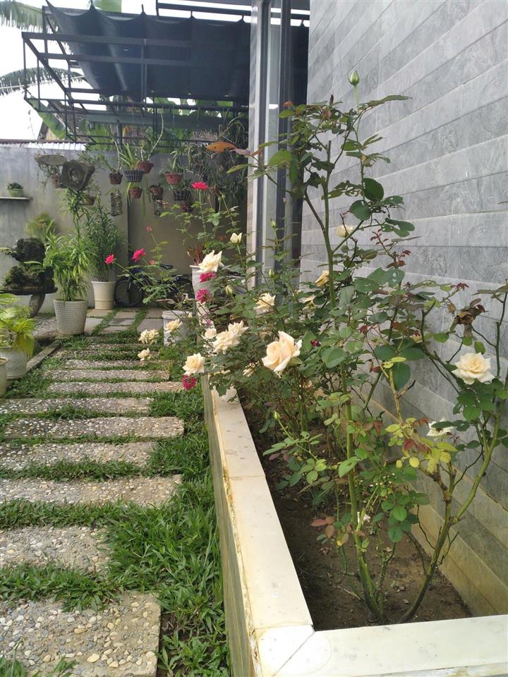 Bán nhà vườn đẹp 400m2 có 200m2 đất ở gần quốc lộ 14b view thoáng mát