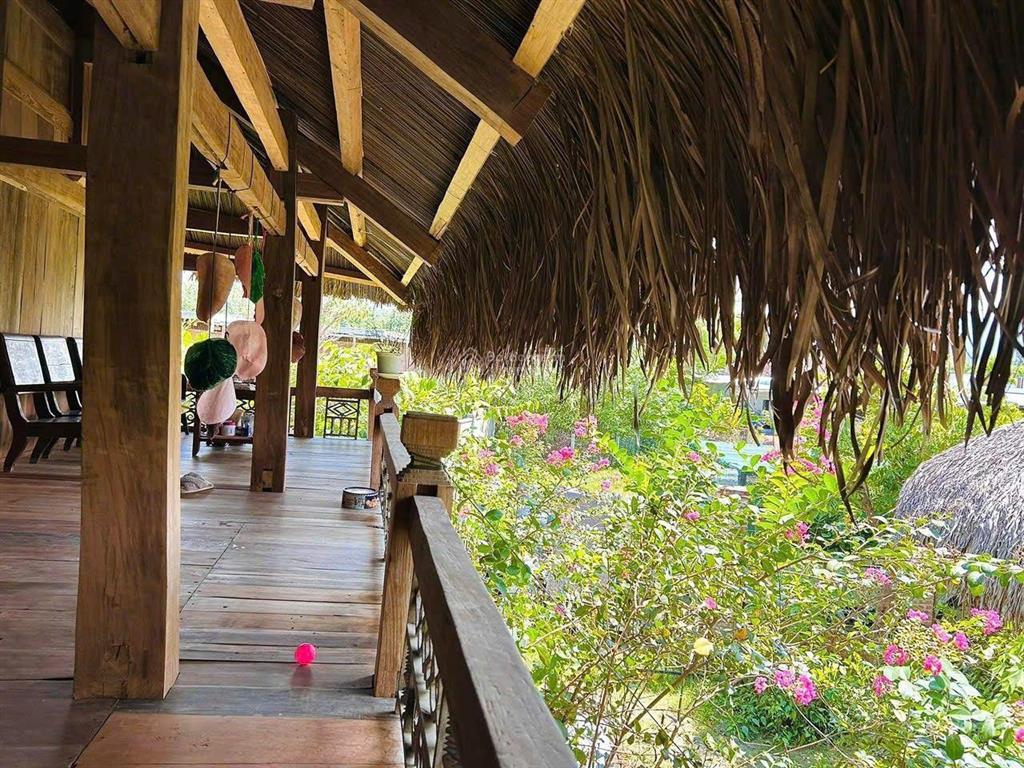 Bán nhà vườn 400m2 có 2 căn nhà gỗ đẹp, đang cho thuê 7 triệu tháng ở xã hòa phong.