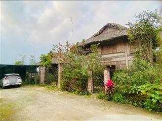 Bán nhà vườn 400m2 có 2 căn nhà gỗ đẹp, đang cho thuê 7 triệu tháng ở xã hòa phong.