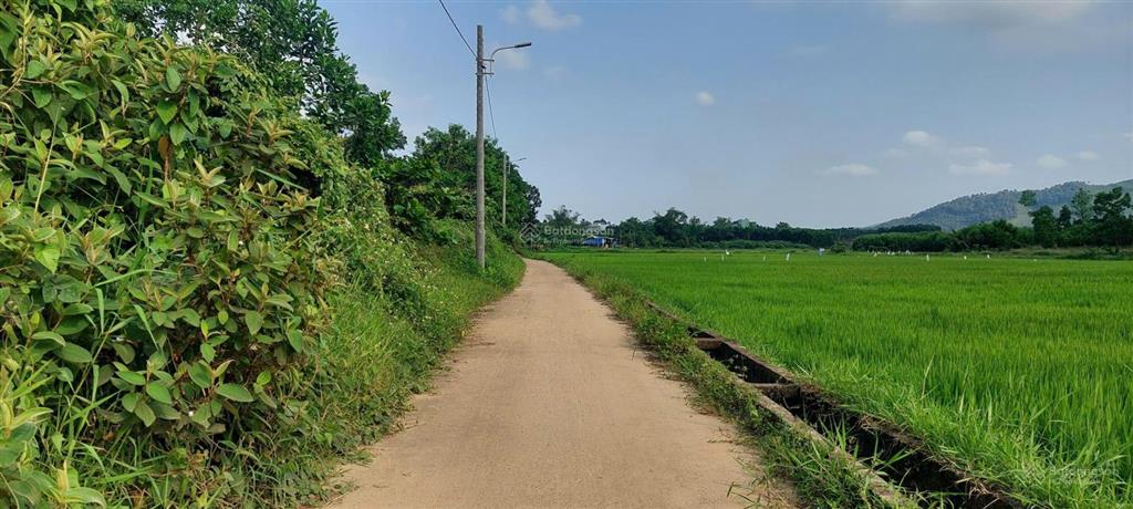 Đất xây nhà vườn view cánh đồng, 1700m2 có 150m2 đất ở ngang 70m.