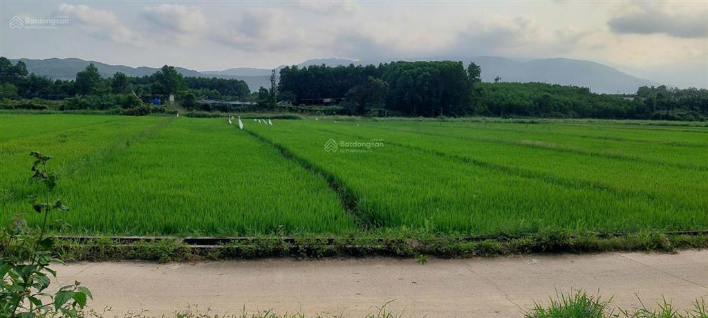 Đất xây nhà vườn view cánh đồng, 1700m2 có 150m2 đất ở ngang 70m.