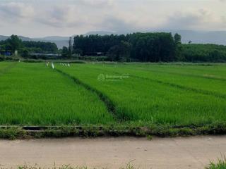 Đất xây nhà vườn view cánh đồng, 1700m2 có 150m2 đất ở ngang 70m.