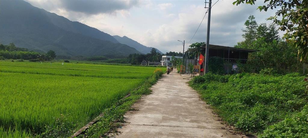 Đất xây nhà vườn view cánh đồng, 1700m2 có 150m2 đất ở ngang 70m.