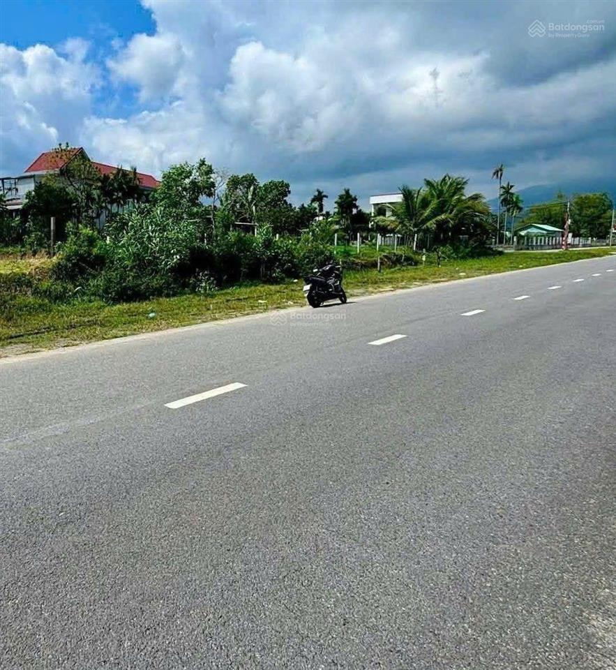 Đất trồng cây lâu năm, 2500m2, sát mặt tiền nam kỳ khởi nghĩa, làm kho bãi.