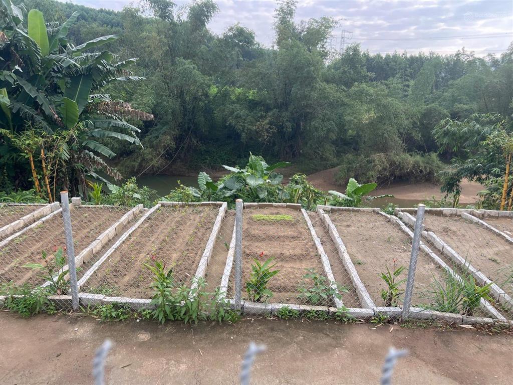 Đất view sông, thông nam kỳ khởi nghĩa, 602m2 đất ở, cao ráo không ngập lụt.