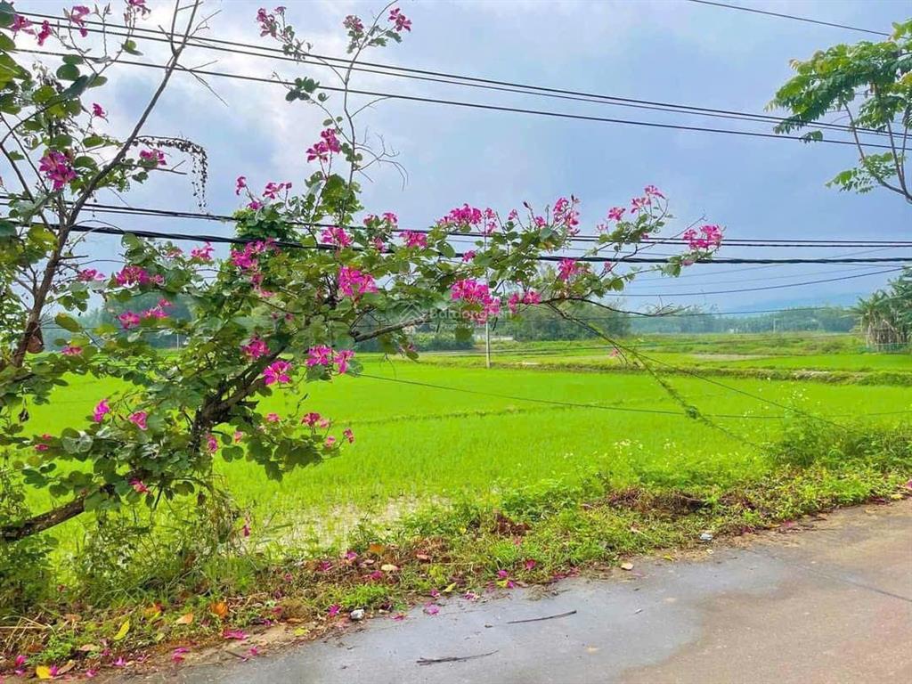 Đất xây nhà vườn view cánh đồng xã hòa tiến, 1200m2 có 120m2 đất ở 2 mặt kiệt